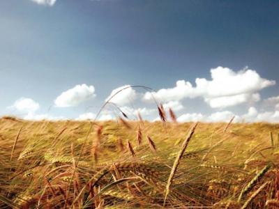 Рязанские студенты-аграрии найдут своё место в жизни