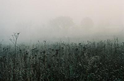 На Рязанщине будет дождливо и туманно