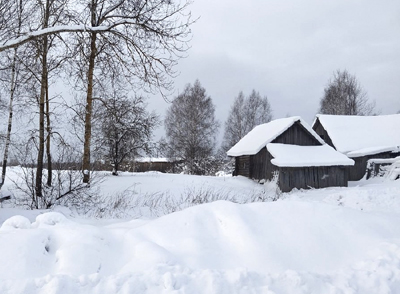 Снегопад оставил сёла Ермишинского округа без света