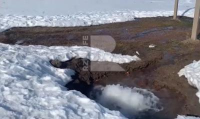 Фото: группа «Rzn life l Рязань l Жизнь Рязани» в соцсети «ВКонтакте»