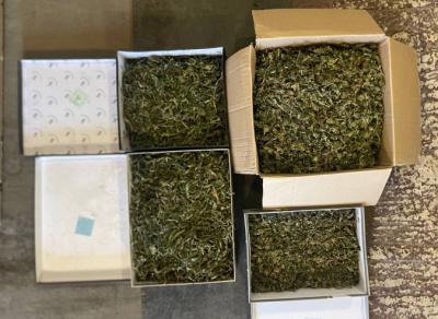 Рязанец изготовил и хранил в гараже крупную партию марихуаны