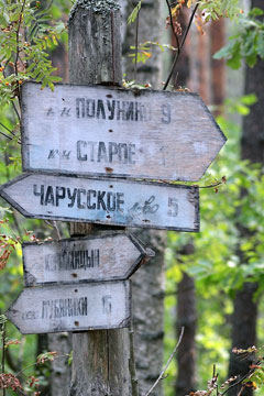 Окский биосферный заповедник приглашает всех желающих помочь в расчистке противопожарных просек