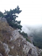 TlNOV-b0mt4.jpg title=