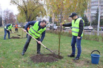 В Рязани появилась аллея отцов