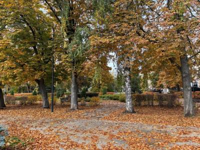 В рязанском регионе осадков не ожидается
