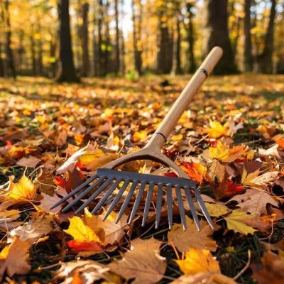 В Рязани осенний месячник по благоустройству стартует 1 октября