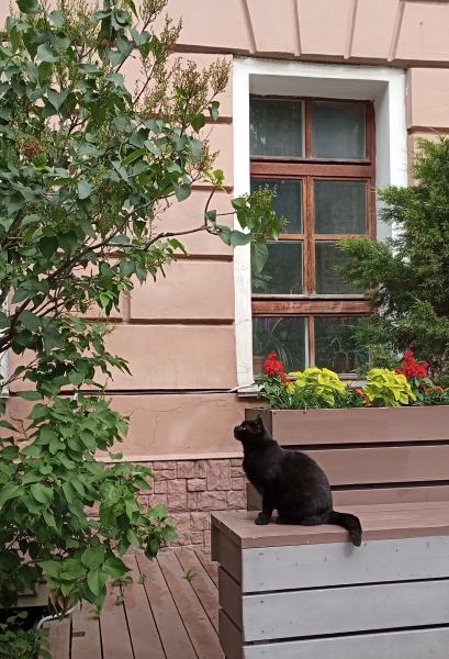 Рязанцев предупредили о грозе и граде