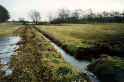 Рязанская область активно реализует программу по развитию мелиорации земель