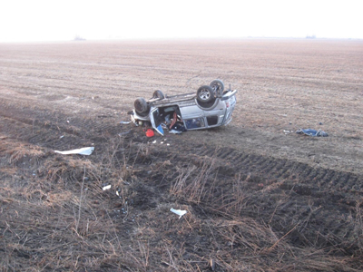 В Пронском районе «Нива» слетела в кювет