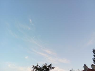 В Рязанской области заметили первые признаки отступления жары