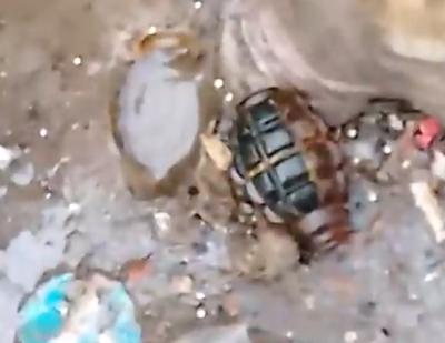 У мусорных баков на Михайловском шоссе в Рязани дети нашли гранату