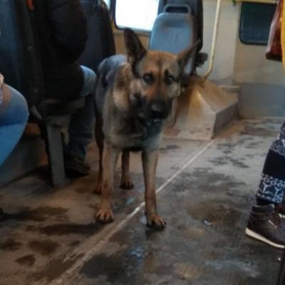 Фото пользователя ВК Юлии Борщевой