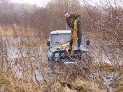 В Рязанской области «зацветёт» сакура
