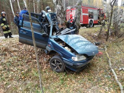 Молодая рязанка погибла, врезавшись на автомобиле в дерево