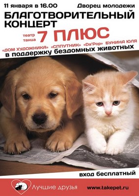 В Рязани пройдёт концерт в поддержку бездомных животных