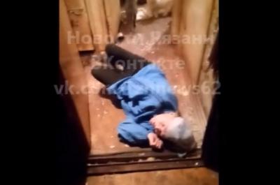 В Рязани требуется помощь пожилой женщине и её многочисленным кошкам