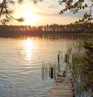 Рязанские пляжи подготовили к сезону 