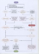 Algoritm_oformleniya_DTP-800x600.jpg title=