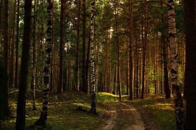 В Рязани отменили особый противопожарный режим