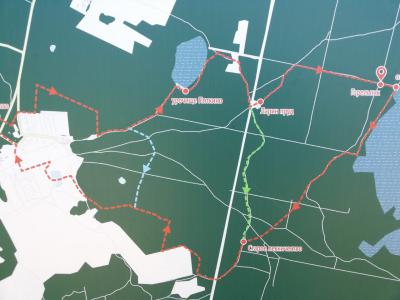 Экологи рассказали о борьбе с поджогами леса под Рязанью