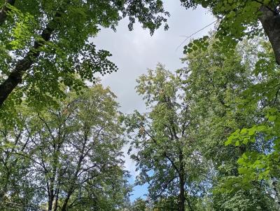 Рязанские синоптики прогнозируют небольшой дождь