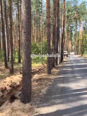 В Солотче заметили очередной беспредел 