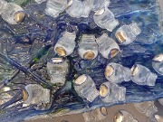 1000105204.jpg title=