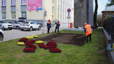 В Рязани продолжают высадку цветов в городские клумбы