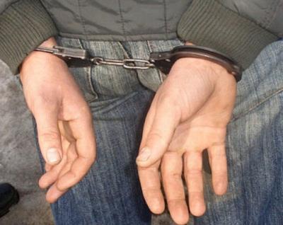 Рязанские стражи порядка поймали ночного грабителя