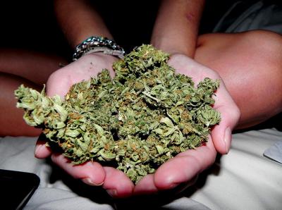 Житель Скопинского района хранил дома более шести килограммов марихуаны