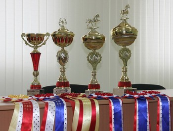 Всадники из 11 регионов съедутся под Рязань на Международные соревнования по конному спорту