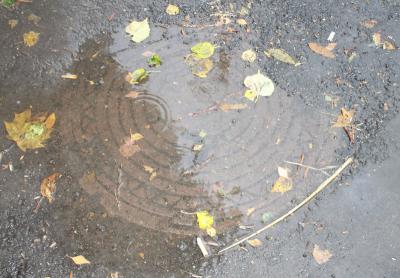 Активисты ОНФ проверили ход работ по благоустройству дворов Рязани