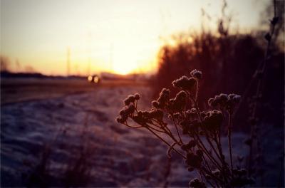 Фото Людмилы Рубцовой