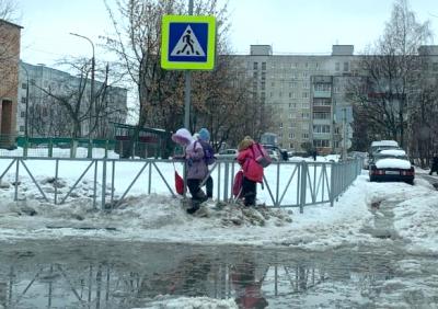 Рязанцы показали, как дети обходят по сугробам огромные лужи у школы №48