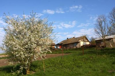 Рязанских журналистов приглашают на Всероссийской конкурс по сельской тематике