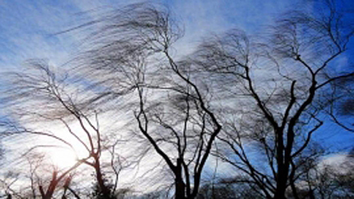 Рязанцев предупредили об усилении ветра
