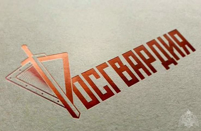 В Михайлове сотрудники Росгвардии выявили нетрезвого водителя