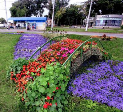 Рязанцы выбрали варианты цветочного оформления города