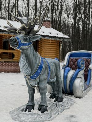 В Рязани стартуют новогодние мероприятия