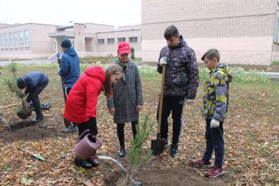 Рязанская команда «Молодёжки ОНФ» высадила деревья возле СОШ №17