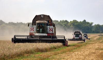 В Рязанской области намолотили более миллиона тонн зерна