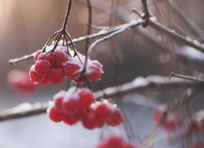 Рязанцам пообещали небольшой снег