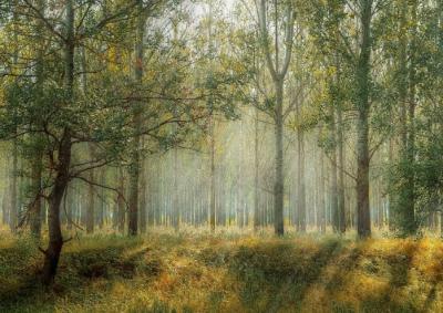 На Рязанщине закончился пожароопасный сезон