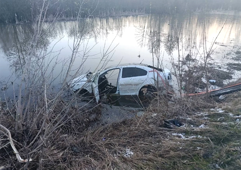 Под Спасском Skoda Octavia сбила столб и улетела в болото