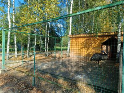 Зоопарк на территории парка-отеля «Фестиваль» в Рязанской области работал без лицензии
