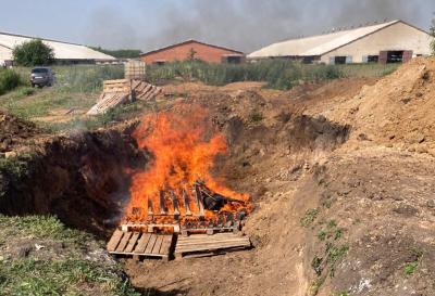 В Скопинском районе нашли свалку с опасными отходами