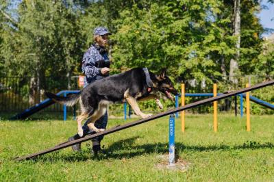 Под Рязанью открыли уникальный учебно-кинологический центр