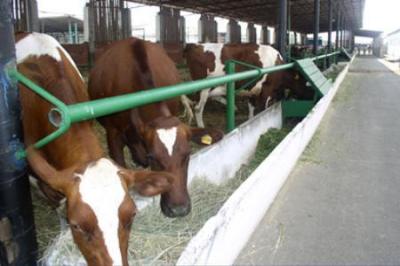 Олег Ковалёв встретился с главой компании «Росагролизинг»