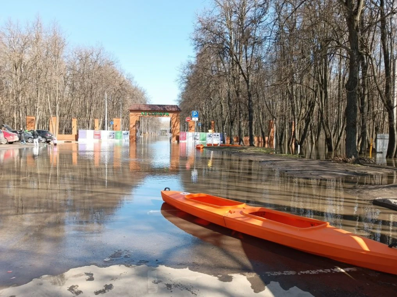 В Лесопарке Рязани заработал прокат байдарок