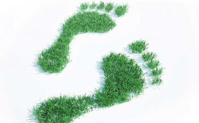 В школах Рязанщины стартует эко-проект «Наш след на Земле»